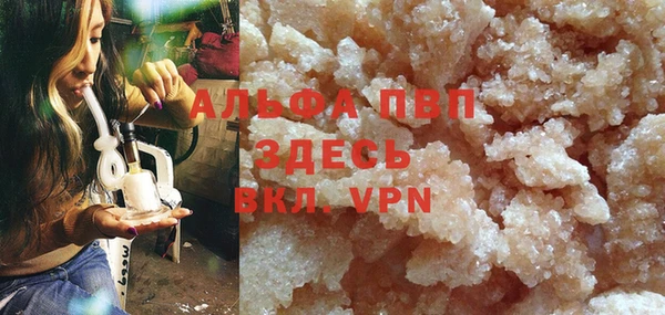 стаф Белокуриха