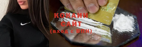 стаф Белокуриха