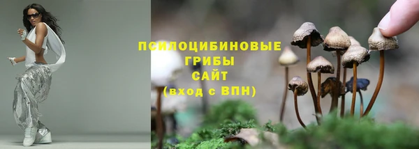 ГАЛЛЮЦИНОГЕННЫЕ ГРИБЫ Белоозёрский