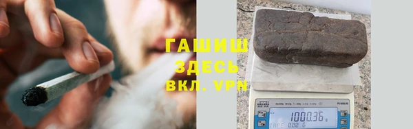 стаф Белокуриха