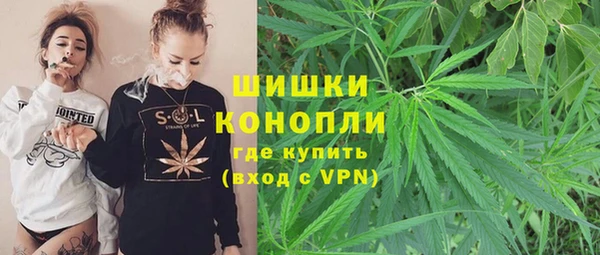 ГАЛЛЮЦИНОГЕННЫЕ ГРИБЫ Белоозёрский