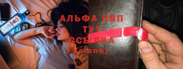 стаф Белокуриха