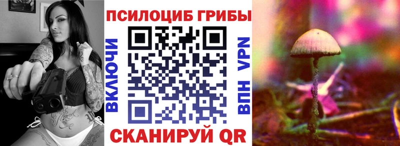 купить наркотики сайты  Хотьково  Псилоцибиновые грибы прущие грибы 